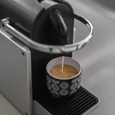 Le Coq Wagner - Parking - Air Conditioning - Pool Lejlighed Menton