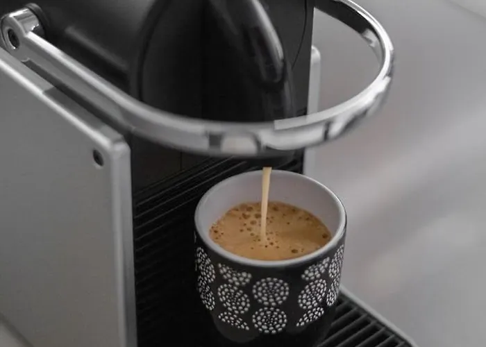 Le Coq Wagner - Parking - Air Conditioning - Pool Lägenhet Menton