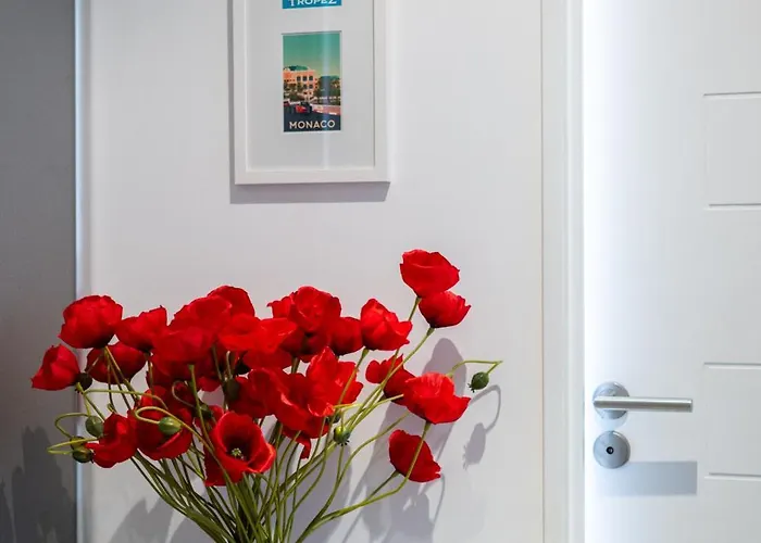 Apartment Le Coq Wagner - Parking - Air Conditioning - Pool *